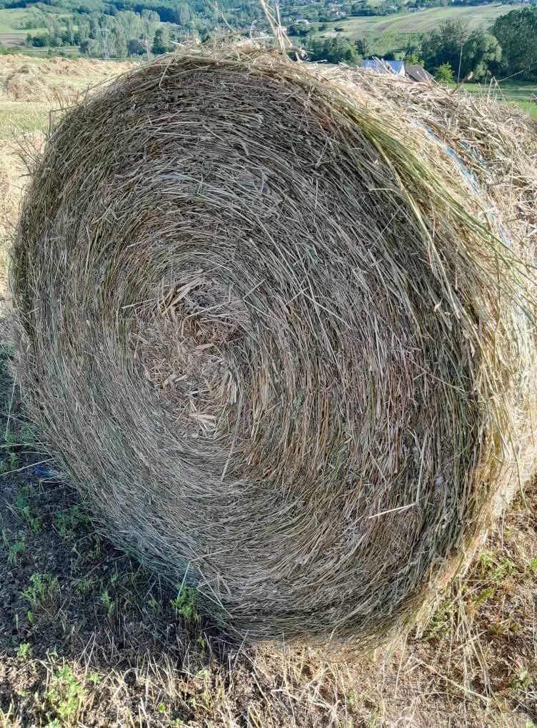 Baloți lucernă-SUCEAVA
