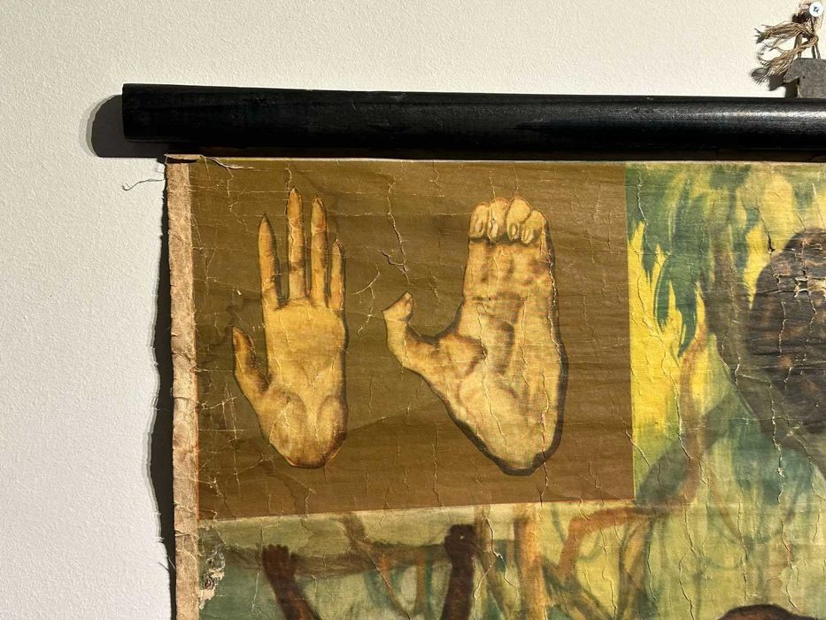 Соц Учебни Плакати Постери Биология