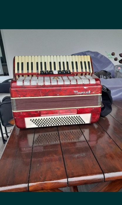 Acordeon Parrot 120
