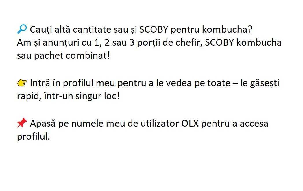 Ciuperca kefir (chefir) de lapte 30g + ghid  de utilizare
