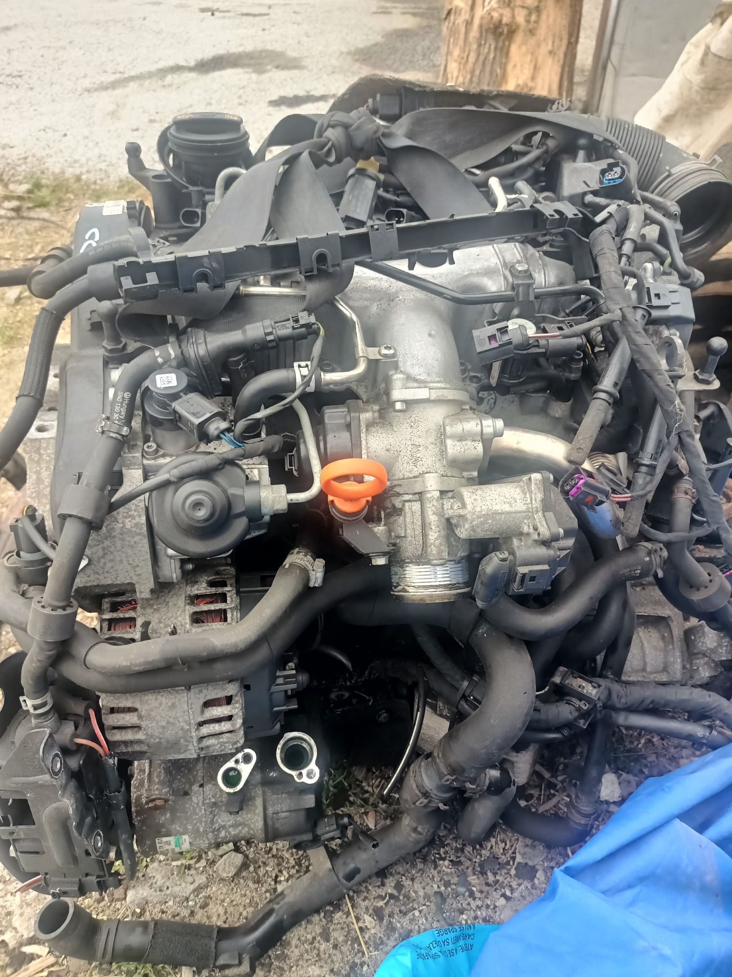 Clapeta accelerație egr passat cc cod motor cbab