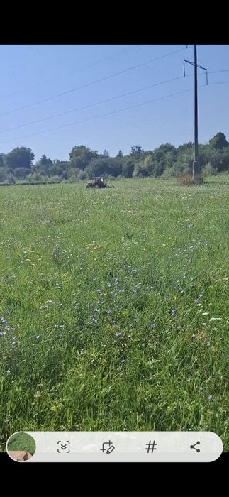 Vand schimb baloti rotunzi de fan