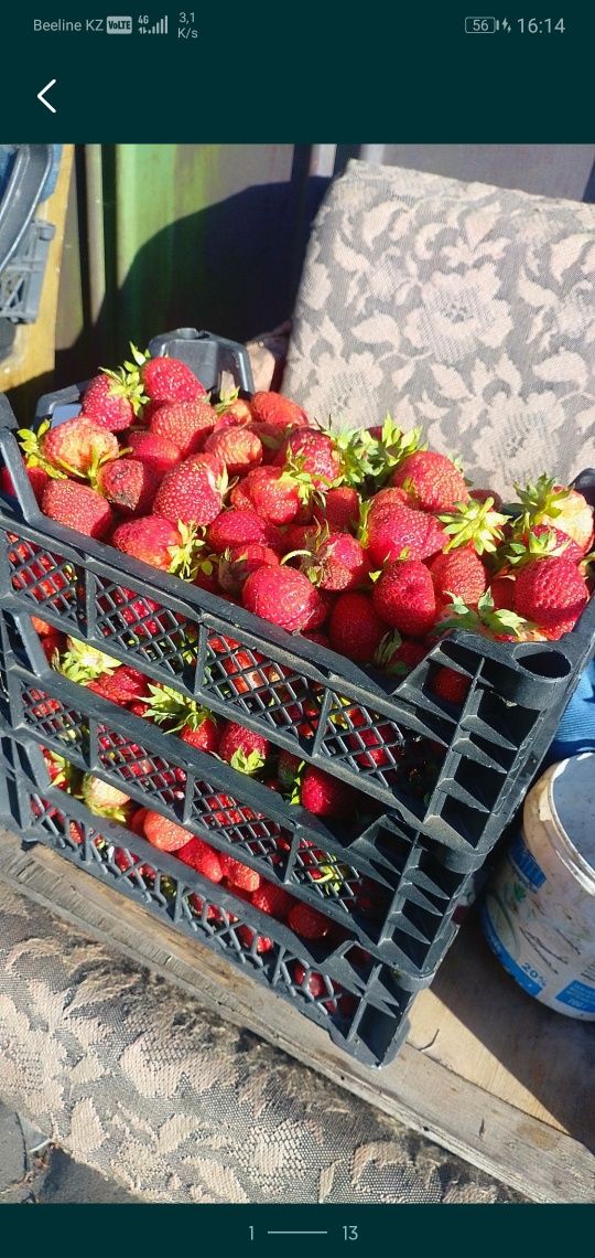 Продам дачу в рабочем