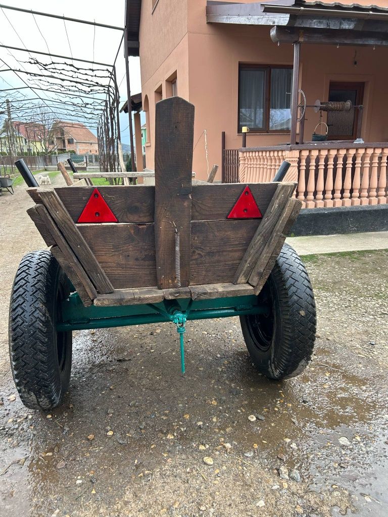 Căruță de Satu Mare
