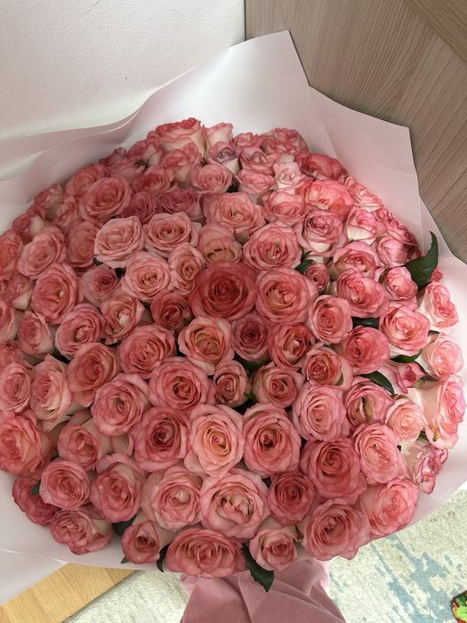 101 розовые розы