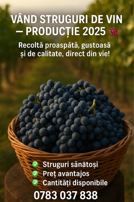 Vand struguri de vin productie 2025 transport gratuit in toata tara