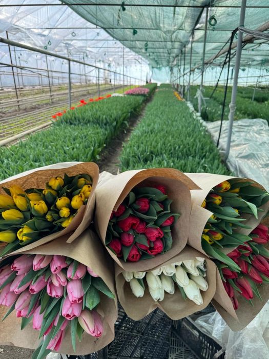 Принимаются предзаказы на праздник 8 марта