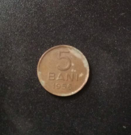 5 bani 1956 rara