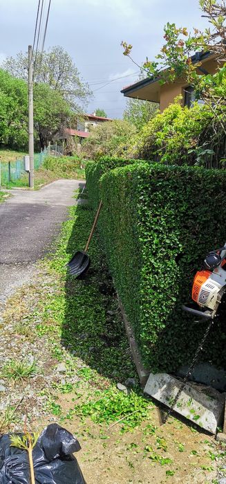 Почистване на дворове. Косене на трева, храсти, рязане на дървета.