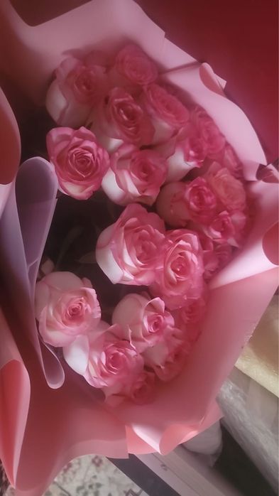 Голланская роза 25 шт