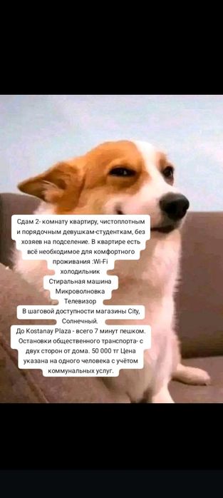 Возьму на подселение для девушки 2-Девушек