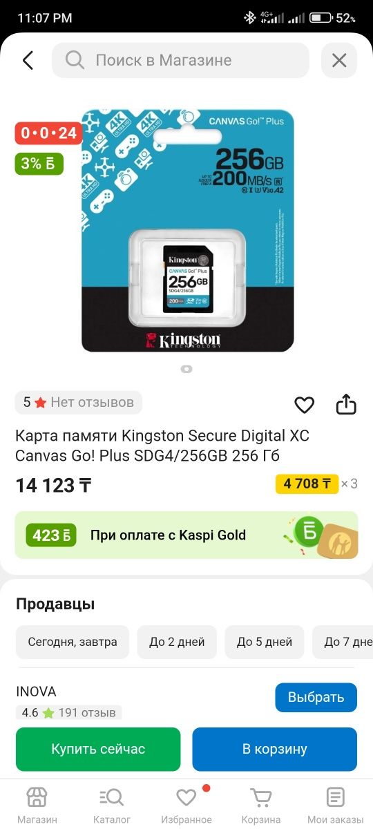 Карта памяти Kingston Secure Digital XC Canvas Go! Plus SDG4/256GB 256