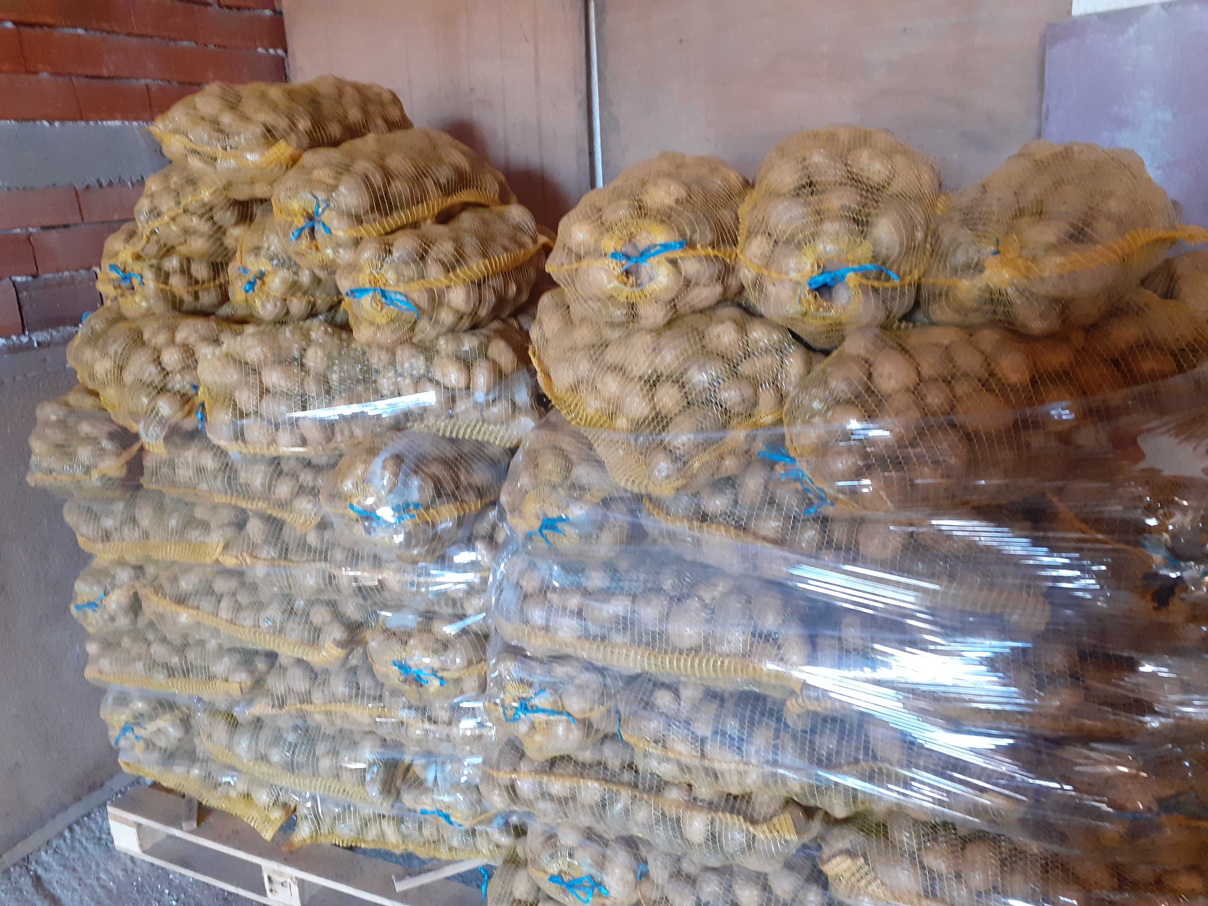Картофи сорт сорая