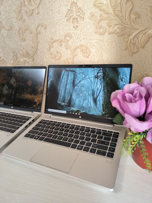 HP ProBook G10 32GB 512GB