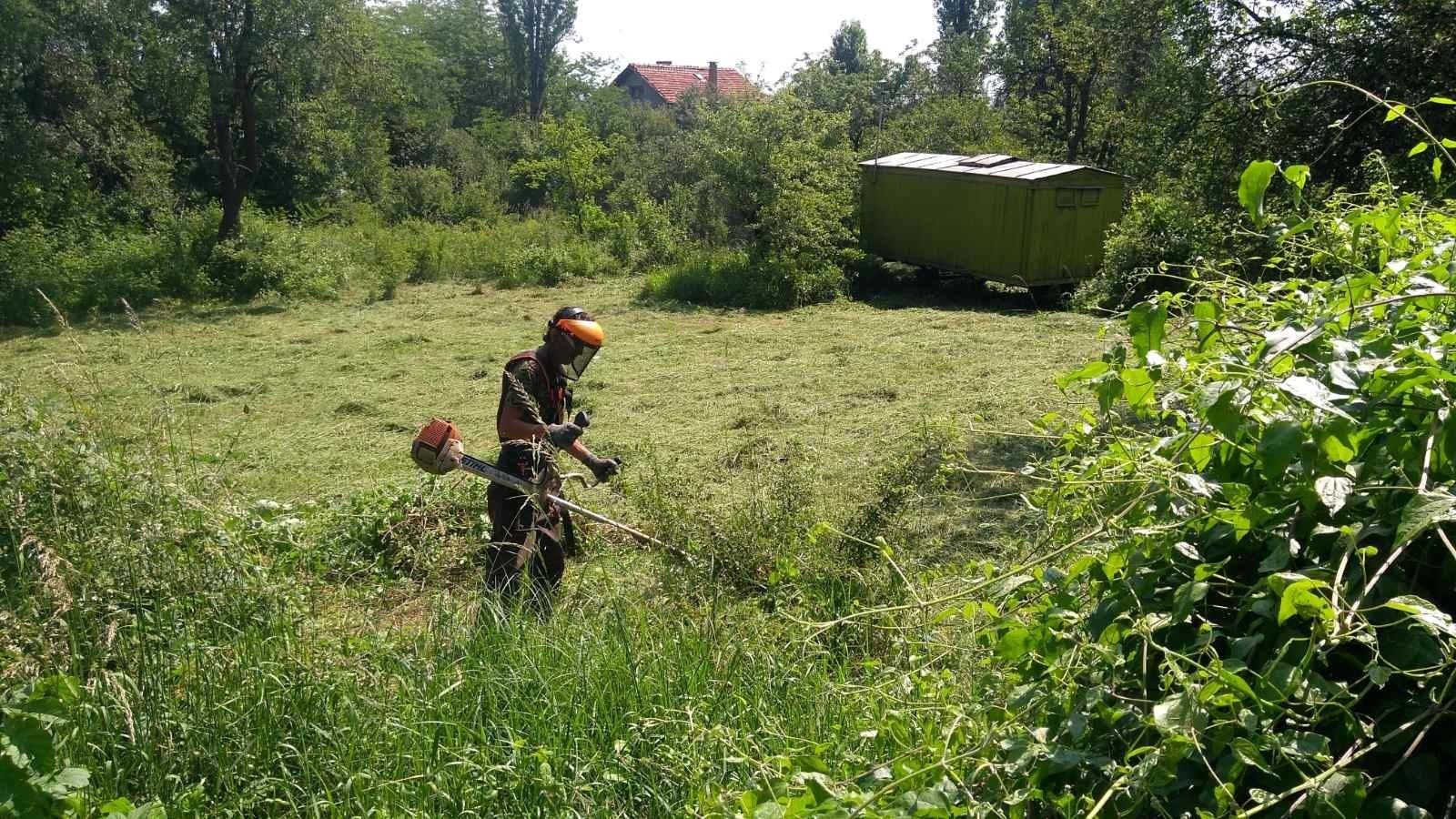 Почистване на парцели дворове косене на трева рязане на опасни дървета