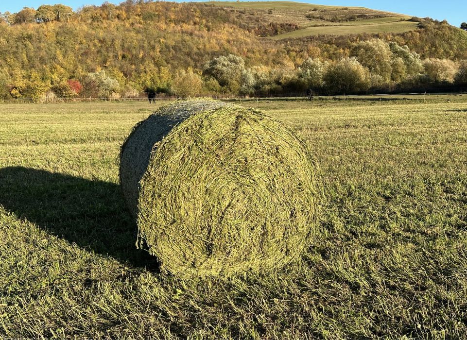 Baloti lucerna baloti fan rotunzi neplouati