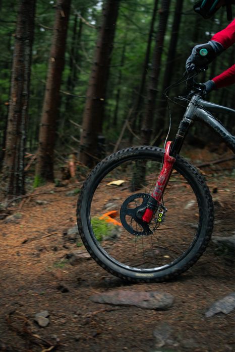 SHREDSAFE - Disc Guard