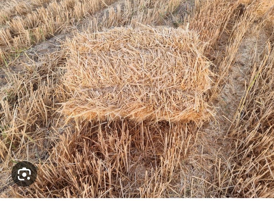 Somon pres lombok mol uchun