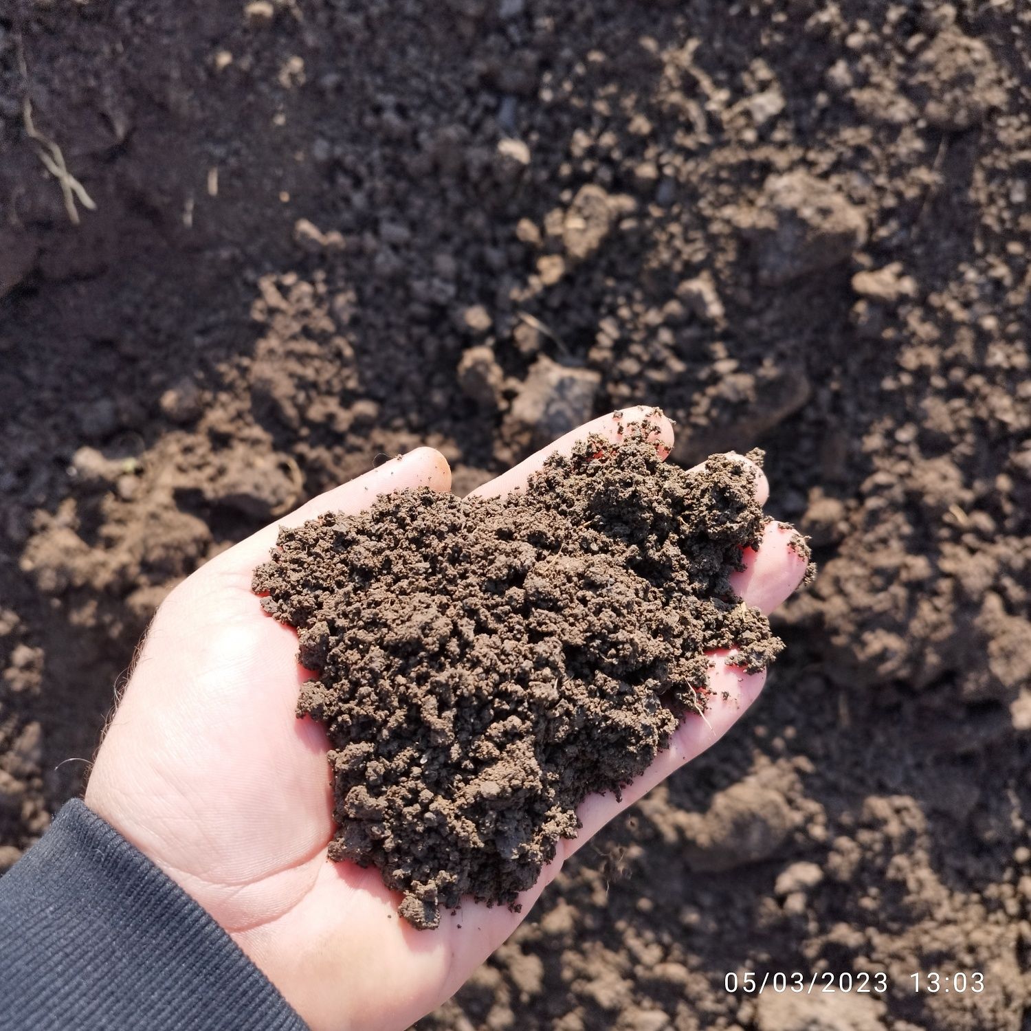 Pamant negru vegetal de gradina pt flori gazon afânat curat