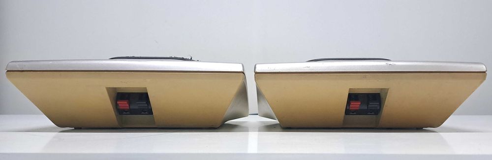 Sony SS SR 110 boxe surround 100W 16 ohmi slim din sis combina RX 99