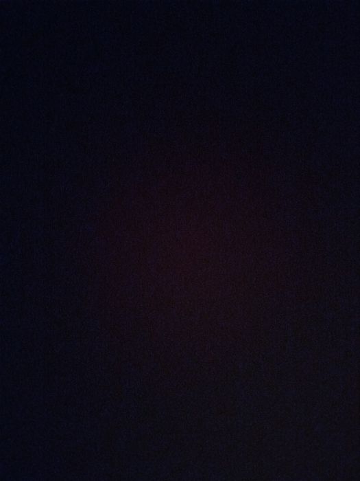 Туша баранина 3200кг