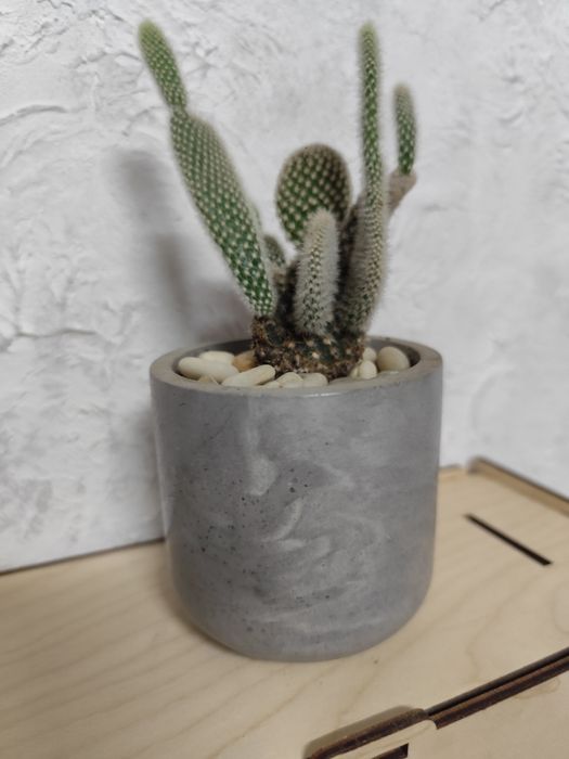 Горшки для кактусов и суккулентов. Ручная работа.