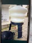 Vand adapatoare pasari