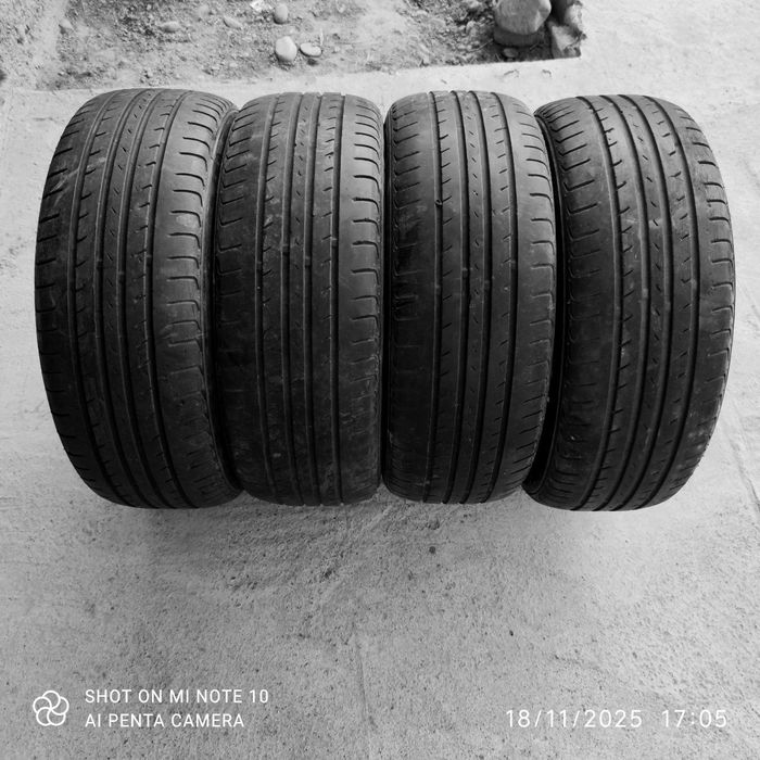 Нехия 3 родной балон