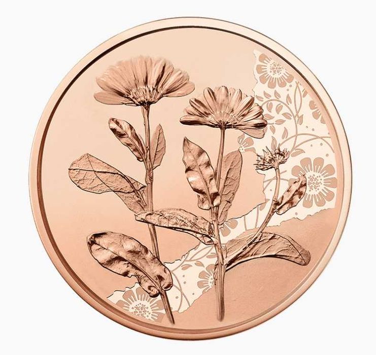 10 еврови медни монети