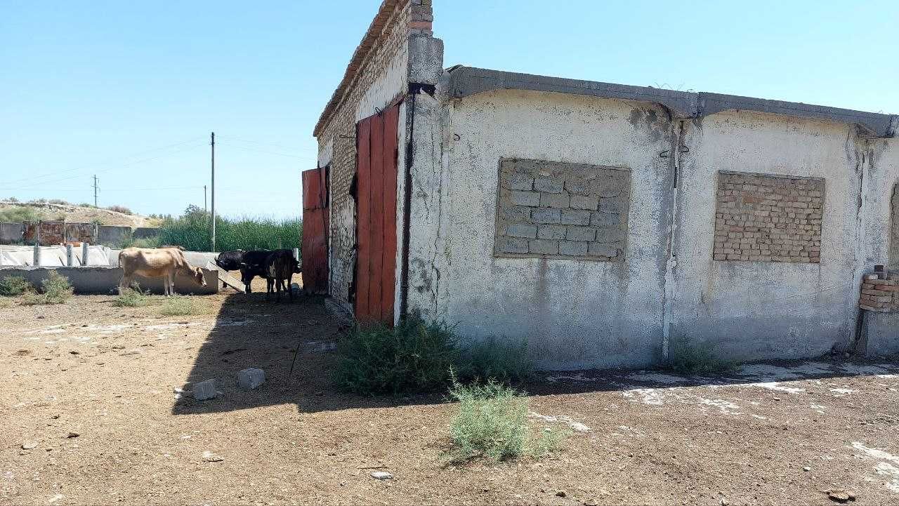 "Molxona va boshqa bino inshoatlari "