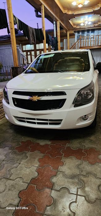 Cobalt Midnight (MCM) 2026