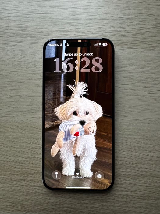 iPhone 16 Pro Max 256GB