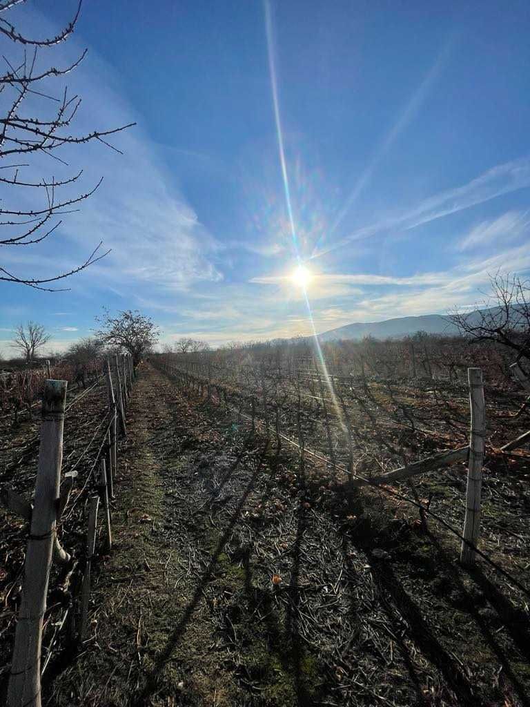 Продава се Парцел в с. Белащица, Област Пловдив - 5000 кв.м за 19 €/кв.м - Снимка #3