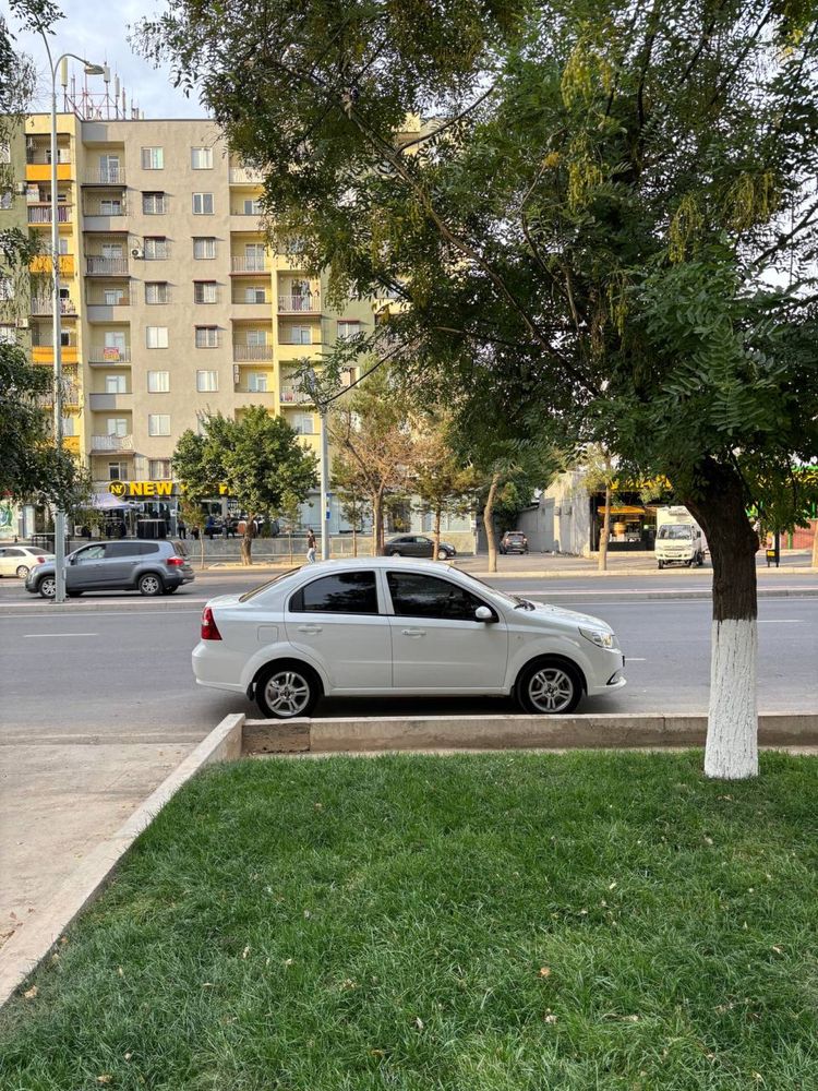 Nexia 3 eksport variant