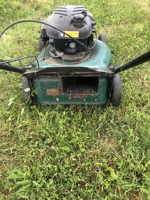 Vand cositoare gazon 6 CP