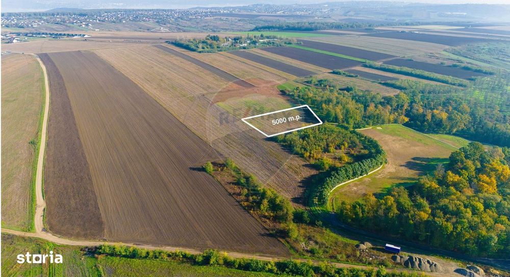 Teren 5,000mp Vorovesti / None