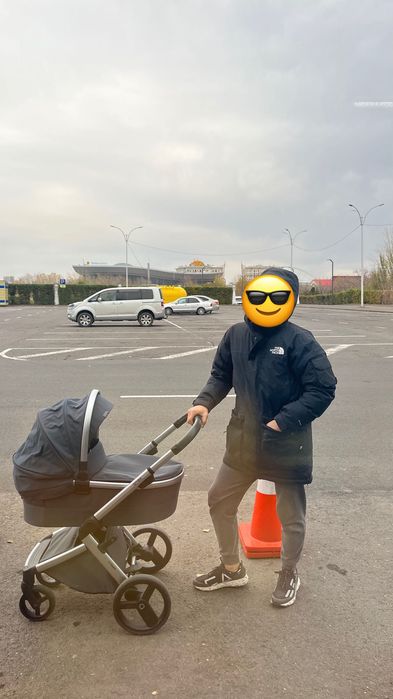 Коляска anex Ltype