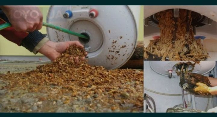 Barcha turdagi Ariston tozalash xizmatlari bor.