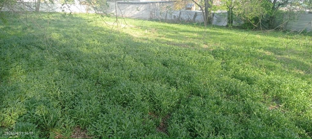 Земля Жанакурлусе