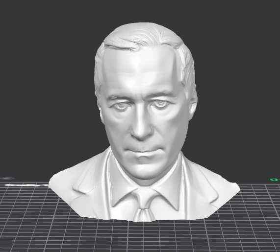 Bust Călin Georgescu