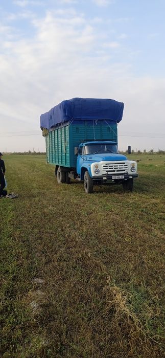 Zil dilnamer holati idyal