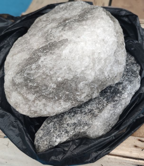 vând sirop de conuri