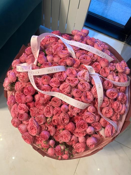 Продам свежие пионы