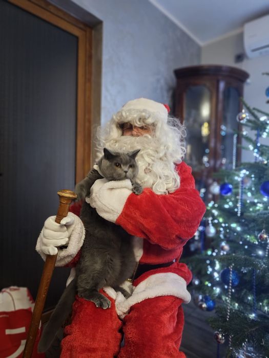 Moș Crăciun de închiriat