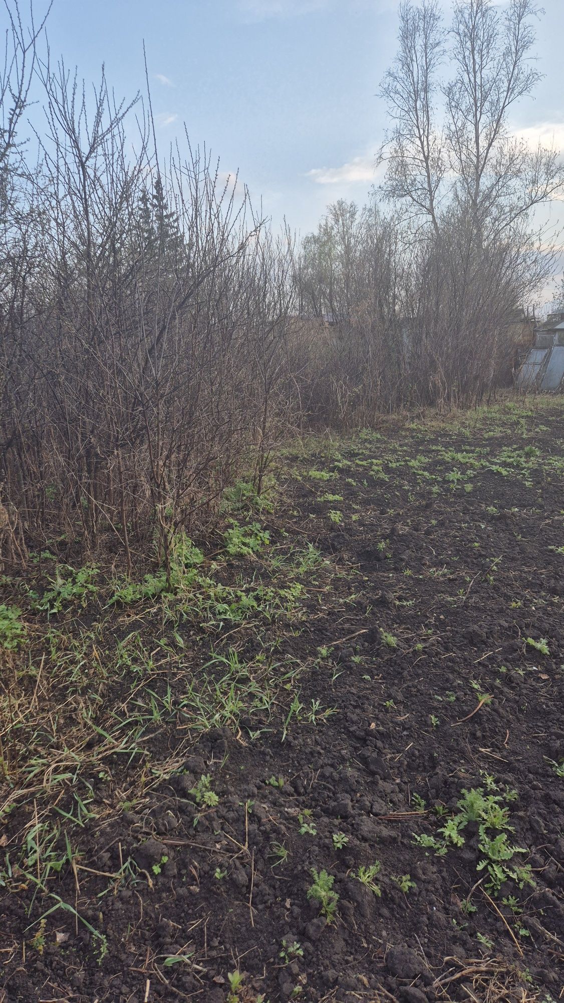 Продам дачу в с/о Ромашка
