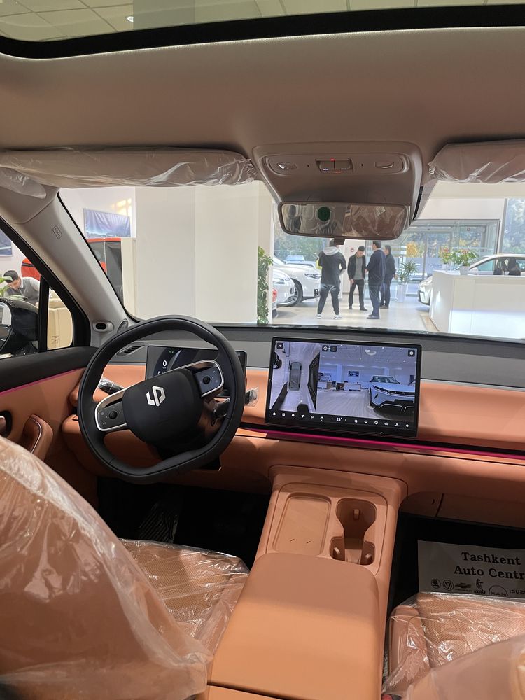 Leapmotor C10 EV Smart dop Full