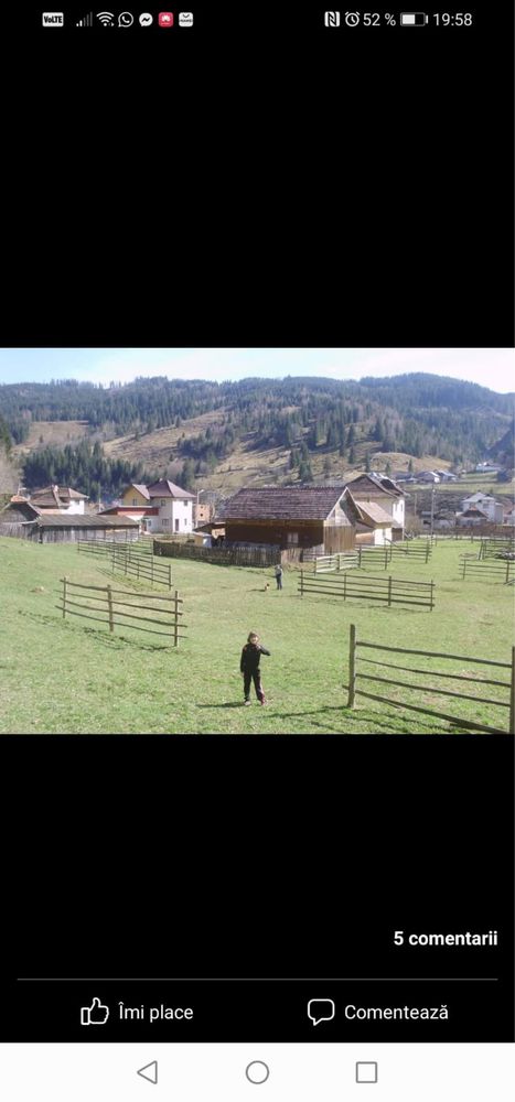 Casa plus cabana in Bucovina