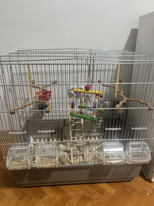 Vind 2 papagali tot cu colivie la un super pret