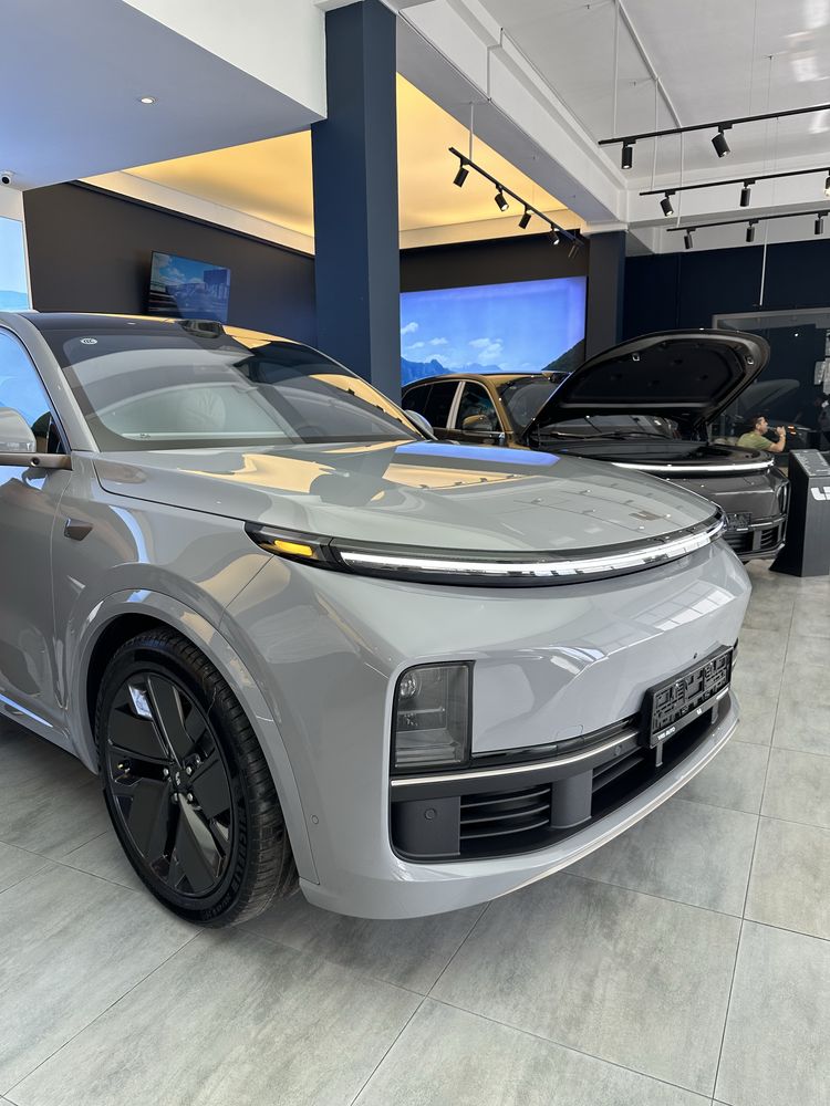 LIXIANG L9 elephand gray