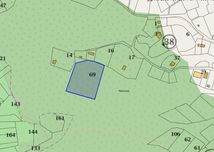 Дървопроизводителна гора 5.7дка. над кв.Долни Воден общ.Асеновград